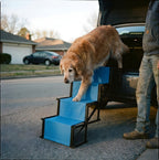 Escalier pour chien pliable, voiture et lit, jusqu'à 75 kg, en situation