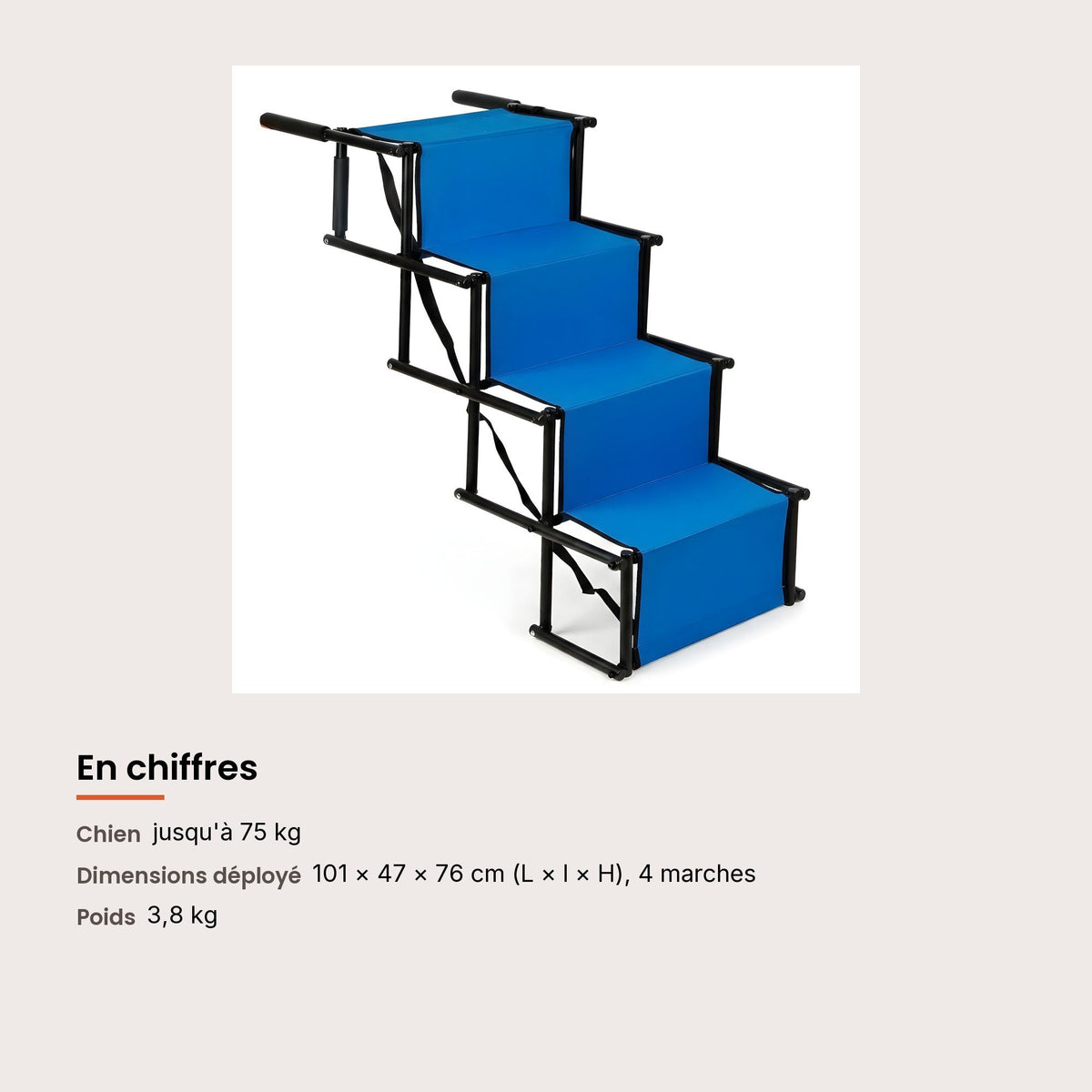 Escalier pour chien pliable, voiture et lit, jusqu'à 75 kg, dimensions et charge maximale
