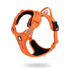 Harnais pour chien avec poignée, soutien et voiture - Orange