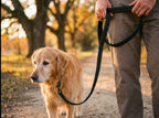 Laisse pour chien avec poignée rembourrée, 110 cm, en situation