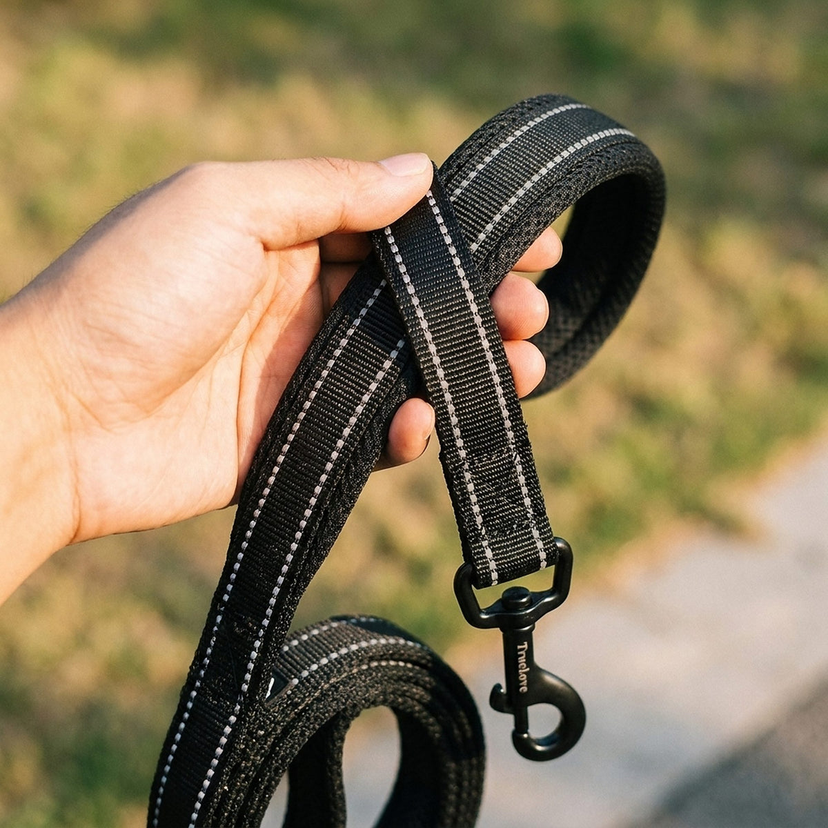 Laisse pour chien avec poignée rembourrée, 110 cm, gros plan