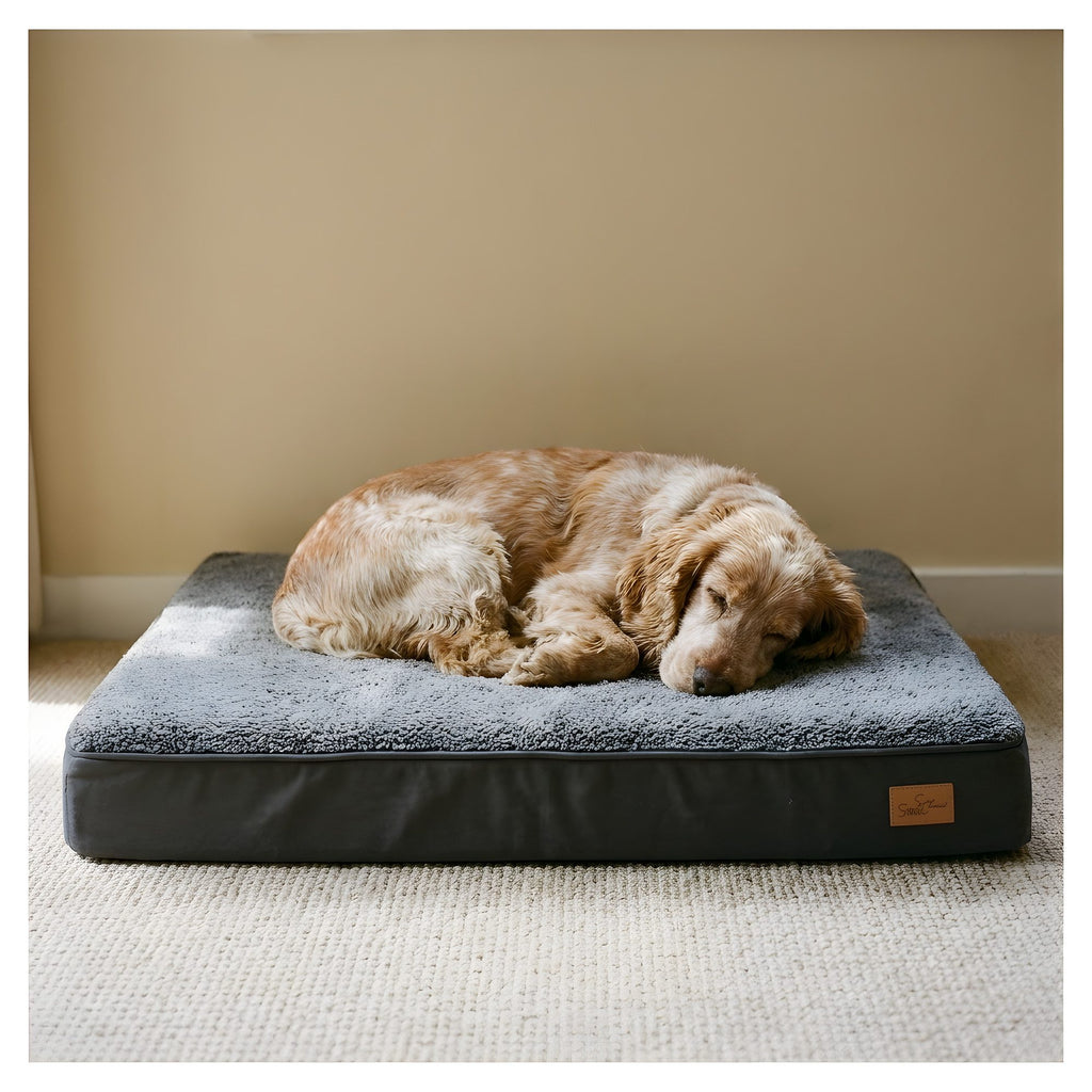Lit orthopédique pour chien, matelas mousse haute densité, en situation