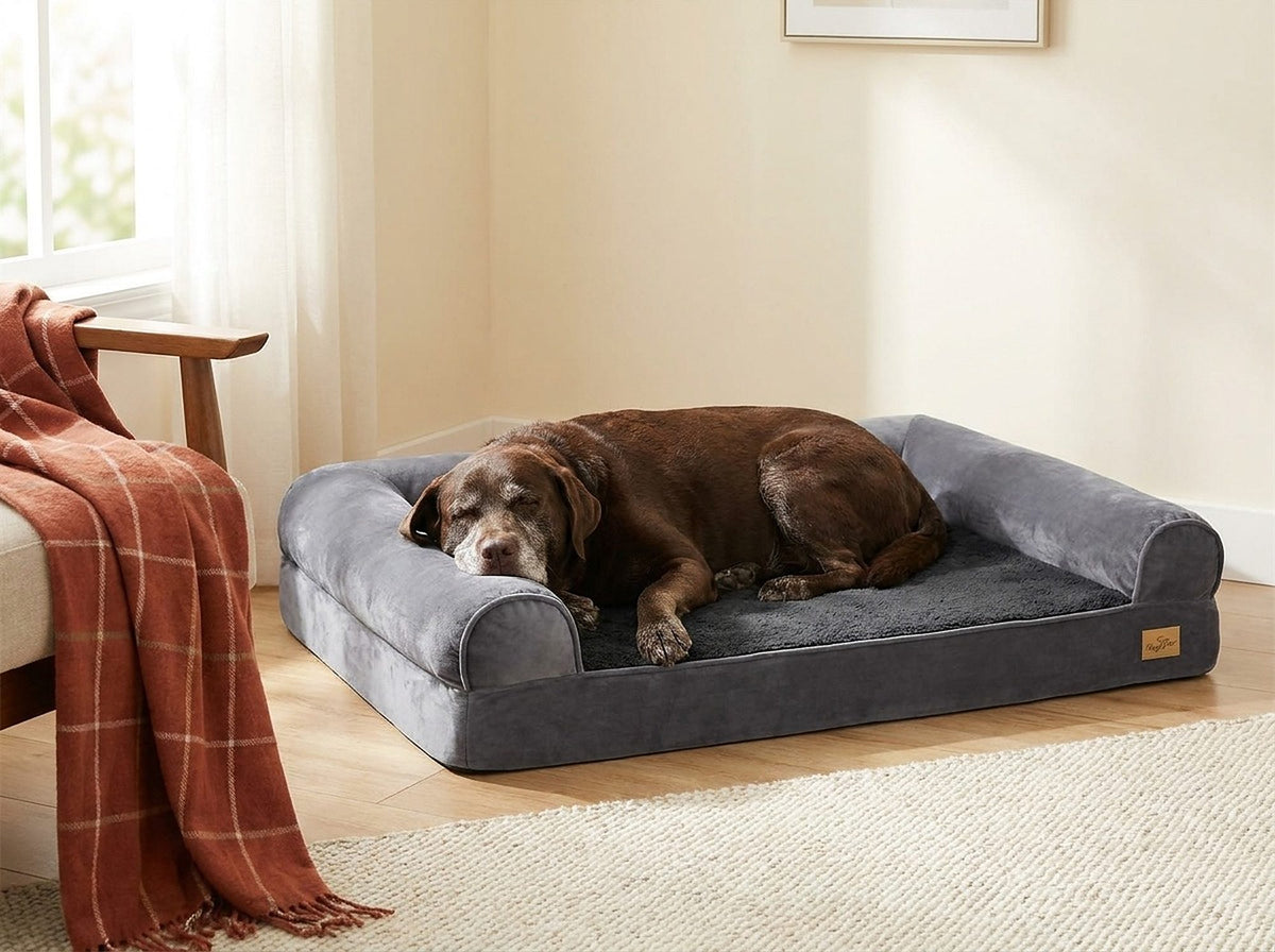 Panier orthopédique pour chien avec bourrelets, 80 × 60 cm, en situation