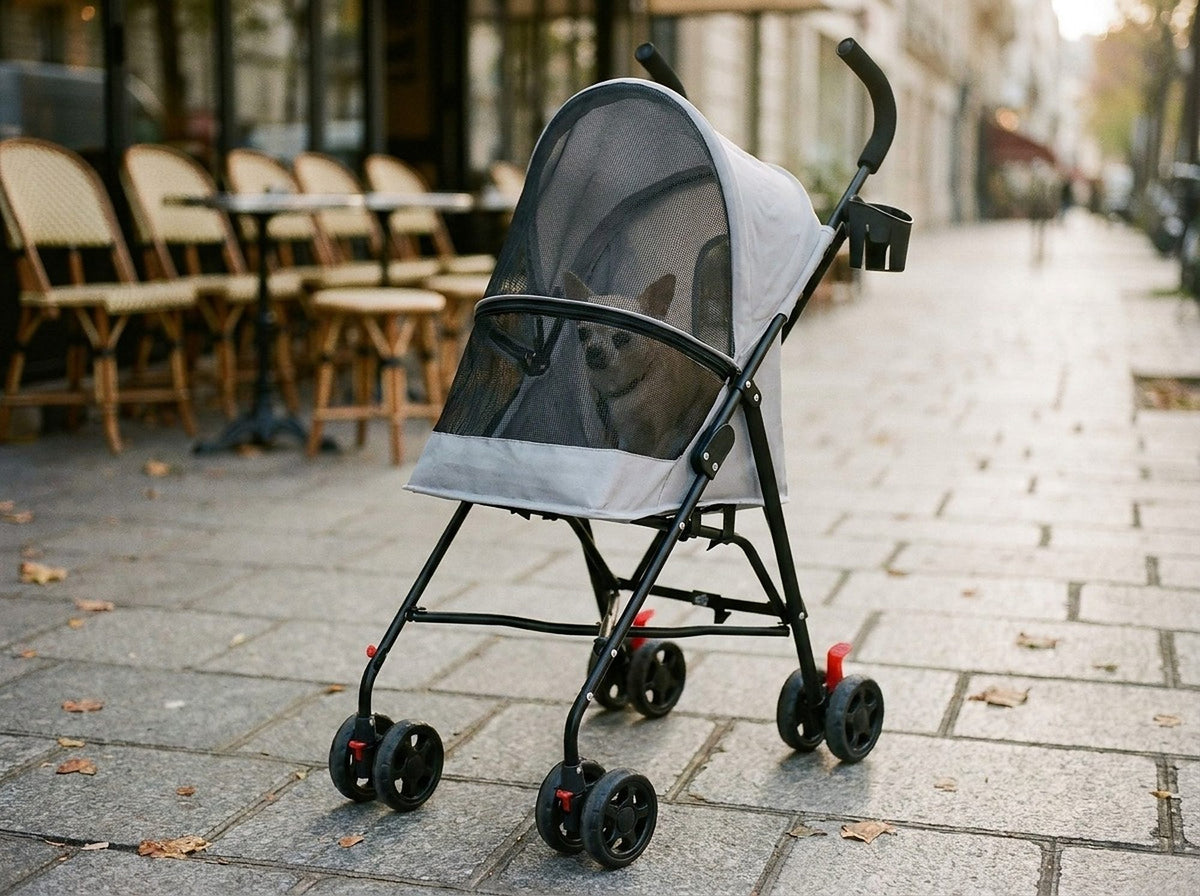 Poussette canne pour chien, légère et pliable, en situation