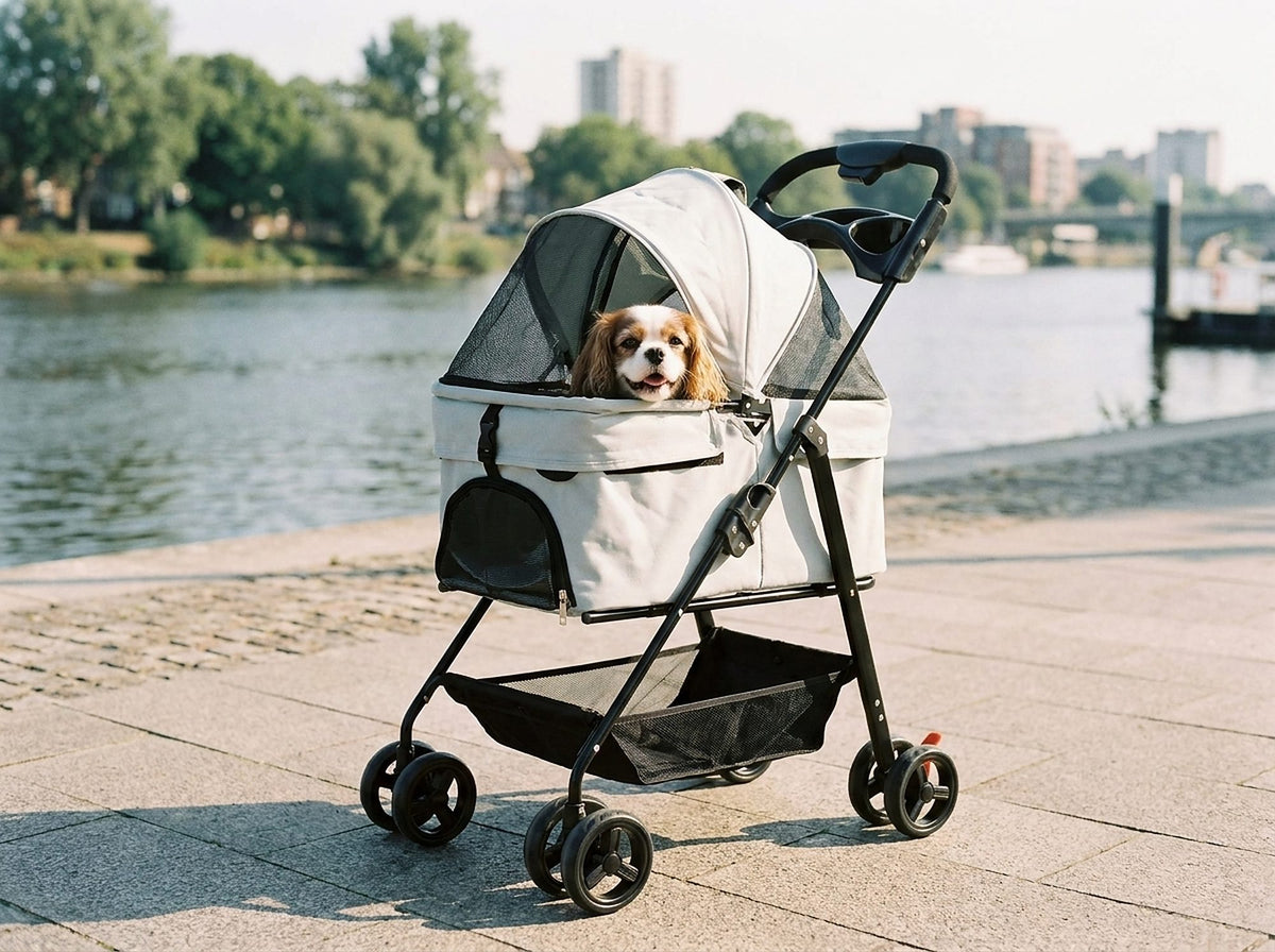 Poussette pour chien pliable grand confort, en situation