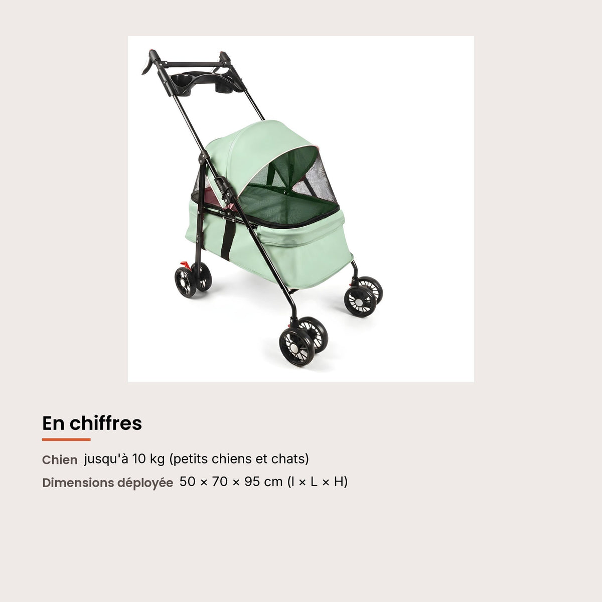 Poussette pour petit chien 2 en 1, panier amovible, dimensions et charge maximale