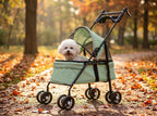 Poussette pour petit chien 2 en 1, panier amovible, en situation