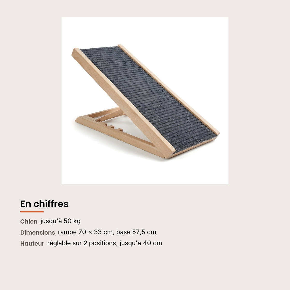 Rampe pour chien en bois, canapé et lit jusqu'à 40 cm, dimensions et charge maximale