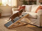Rampe pour chien en bois, canapé et lit jusqu'à 40 cm, en situation